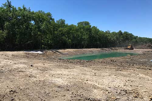 land clearing terrell